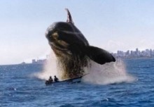 Bote y ballena