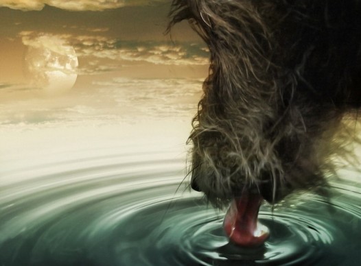 Bebiendo agua surrealista