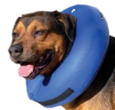 Modelo muy original de Collar isabelino