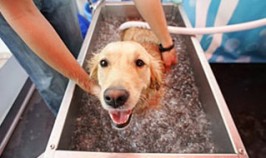 Disfrutando el ba&ntilde;o