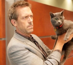 Dr. House y el gato misterioso