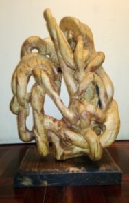 Des-nudos, Alejandro Butler