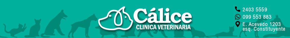 Veterinaria C&aacute;lice - Montevideo, Urguay
