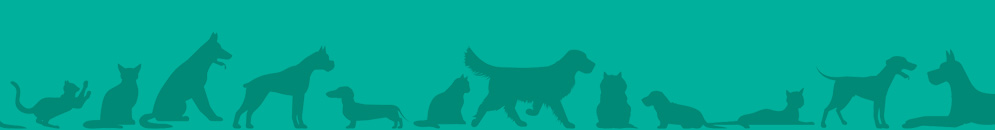 Veterinaria C&aacute;lice - Montevideo, Urguay